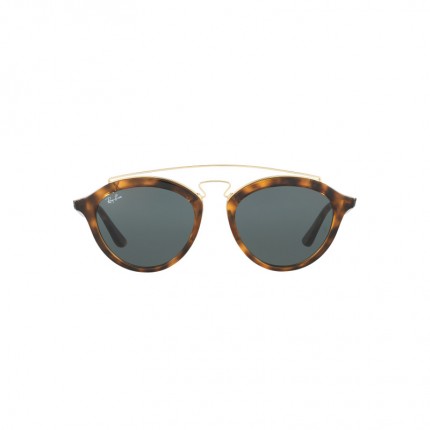 Ray-Ban RB4257