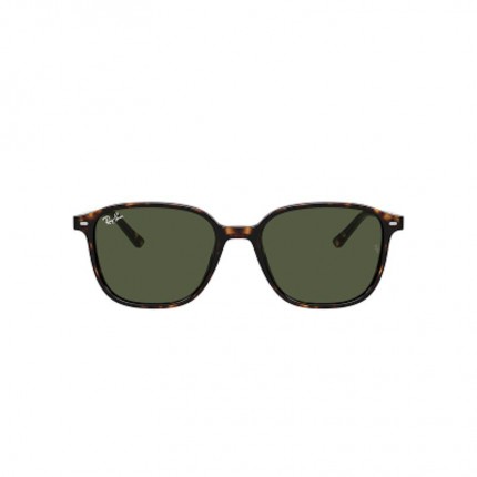 Ray-Ban RB2193