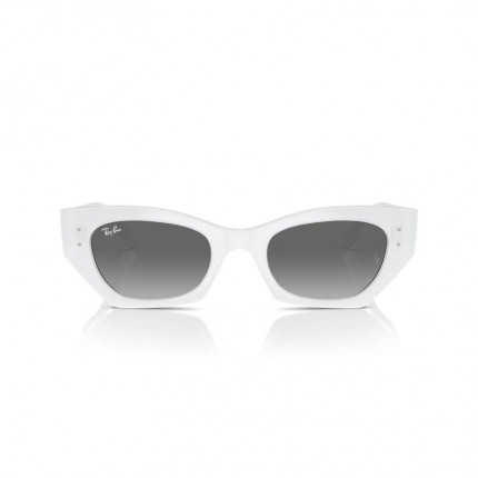 Ray-Ban  RB4430