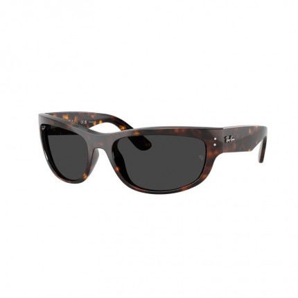 Ray-Ban  RB2289